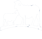 نظام إدارة المزارع الحيوانية